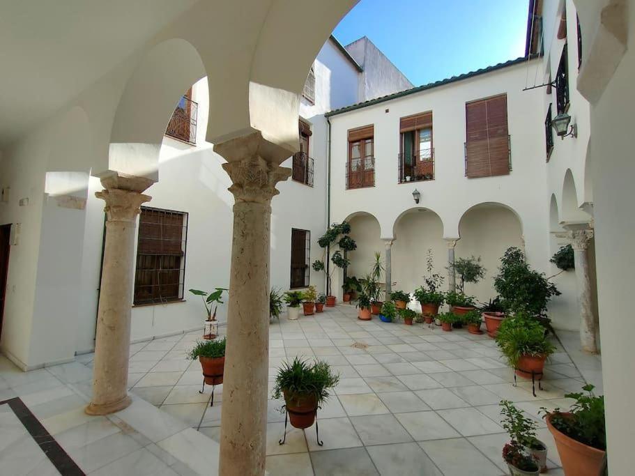 Disfruta De La Historica Cordoba